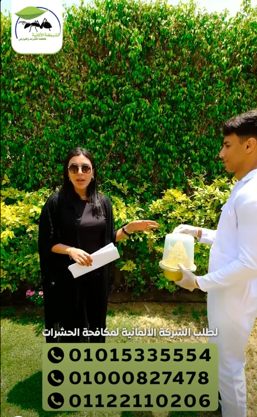 مكافحة بق الفراش في فيلا بالتجمع الخامس